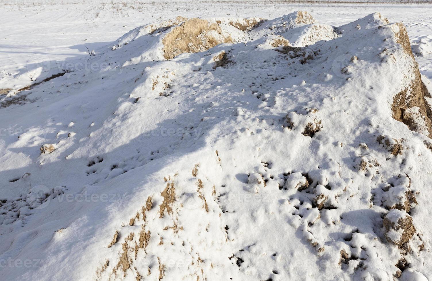 yellow sand under the snow photo