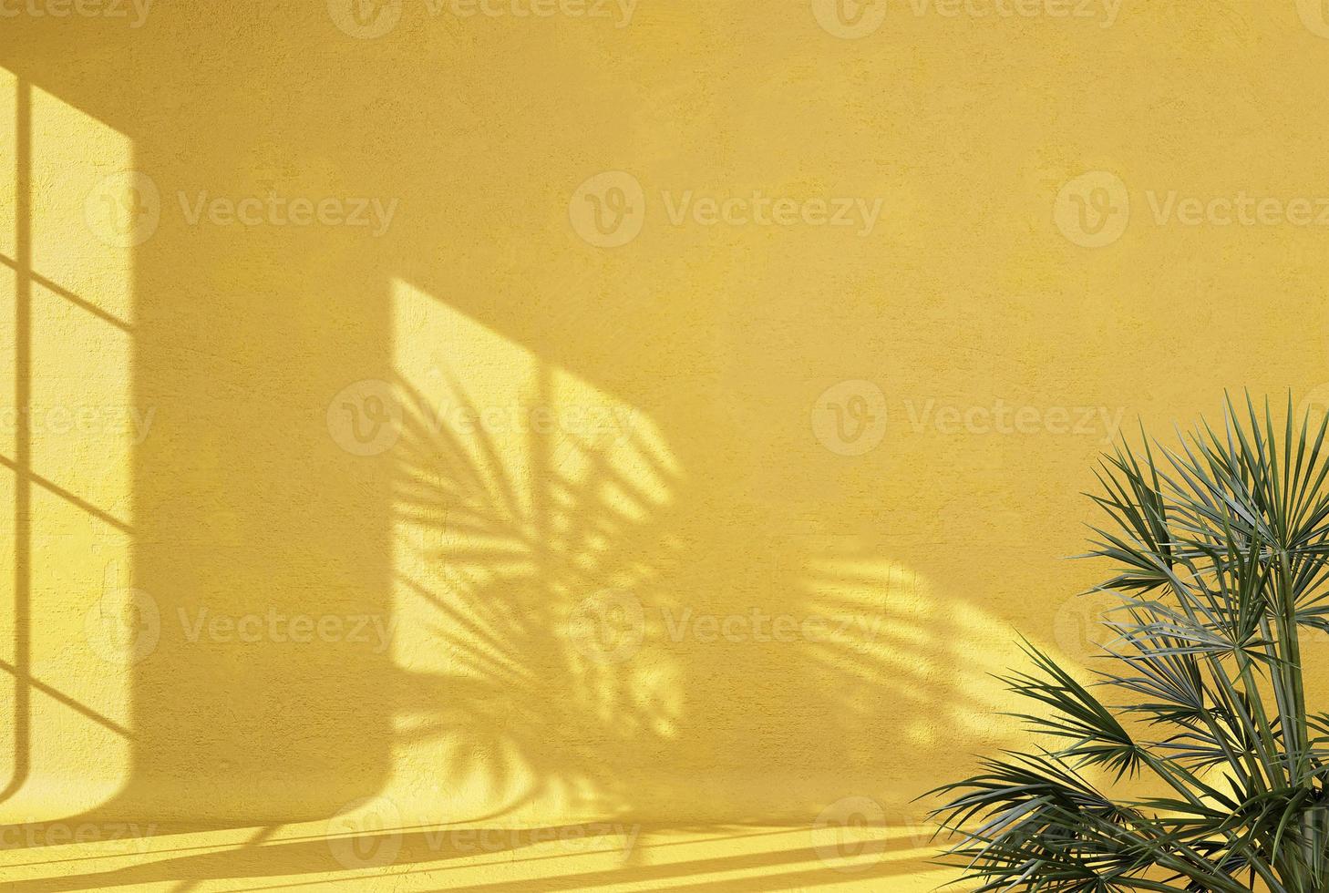 Abstract yellow studio background for product presentation empty room with shadows of window and flowers and palm leaves 3d room with copy space summer concert blurred backdrop. photo