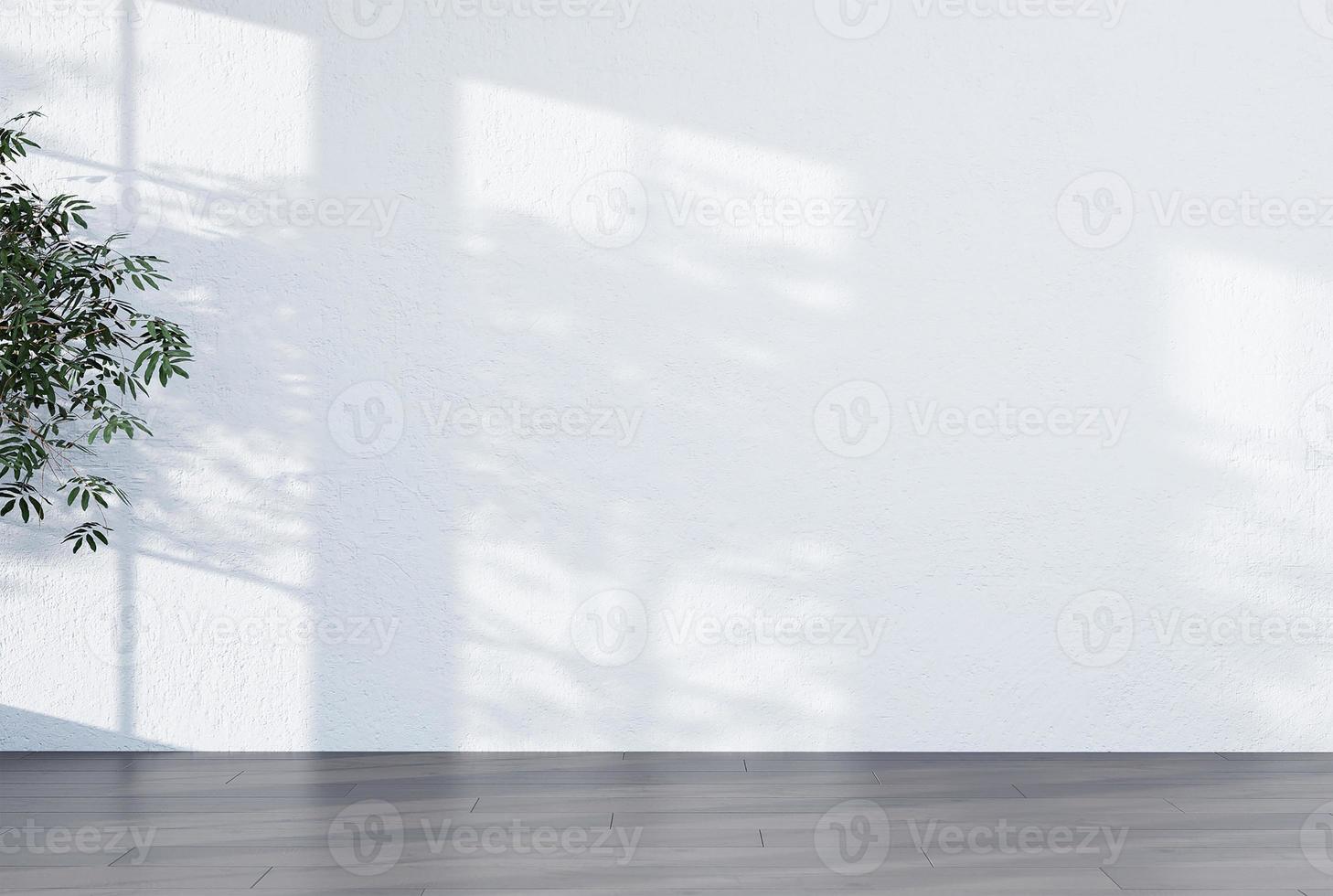 Abstract white studio background for product presentation empty room with  shadows of window and flowers and palm leaves 3d room with copy space  summer concert blurred backdrop. 9411852 Stock Photo at Vecteezy