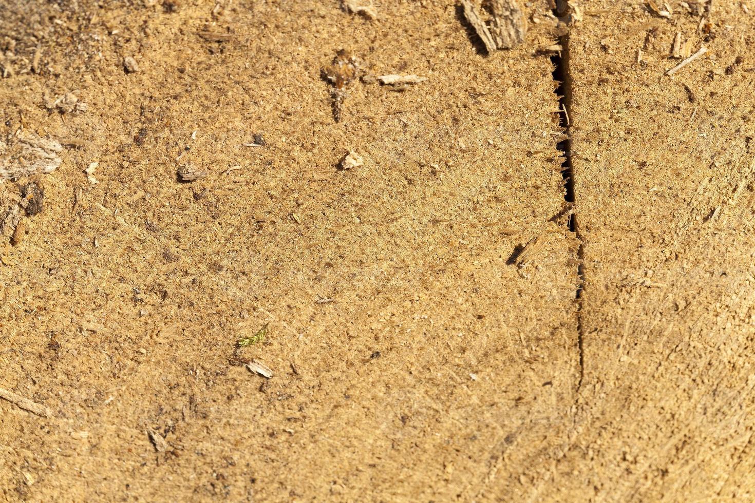 old split wood photo