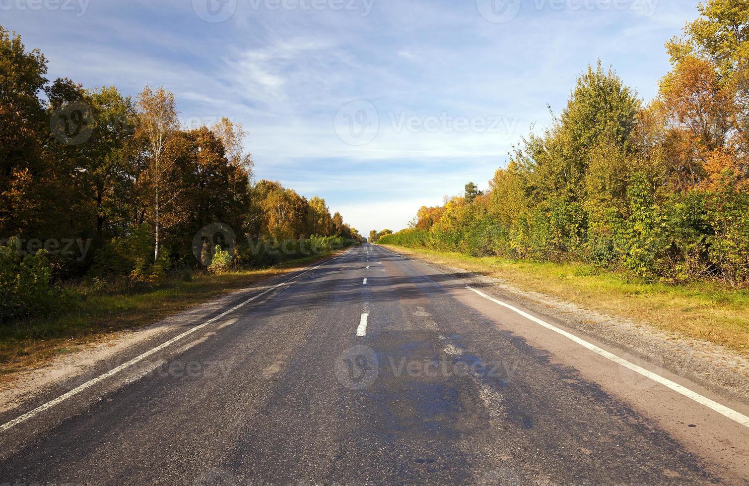 carretera asfaltada en otoño foto
