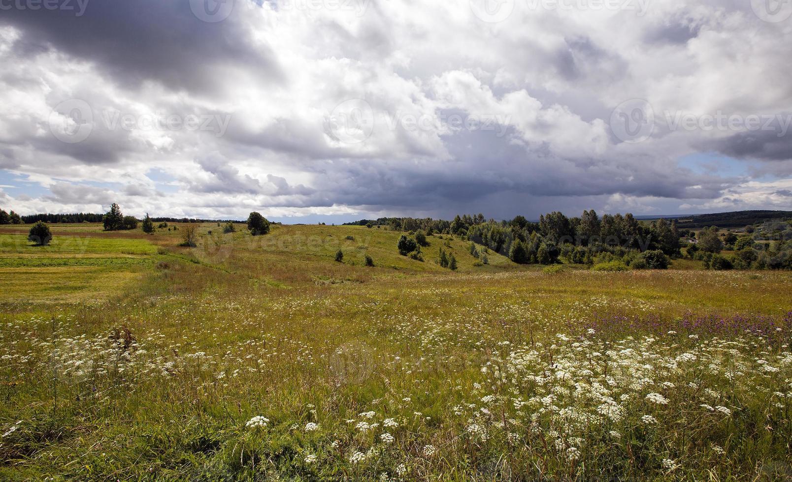 agriculture field . Stormy weather. photo