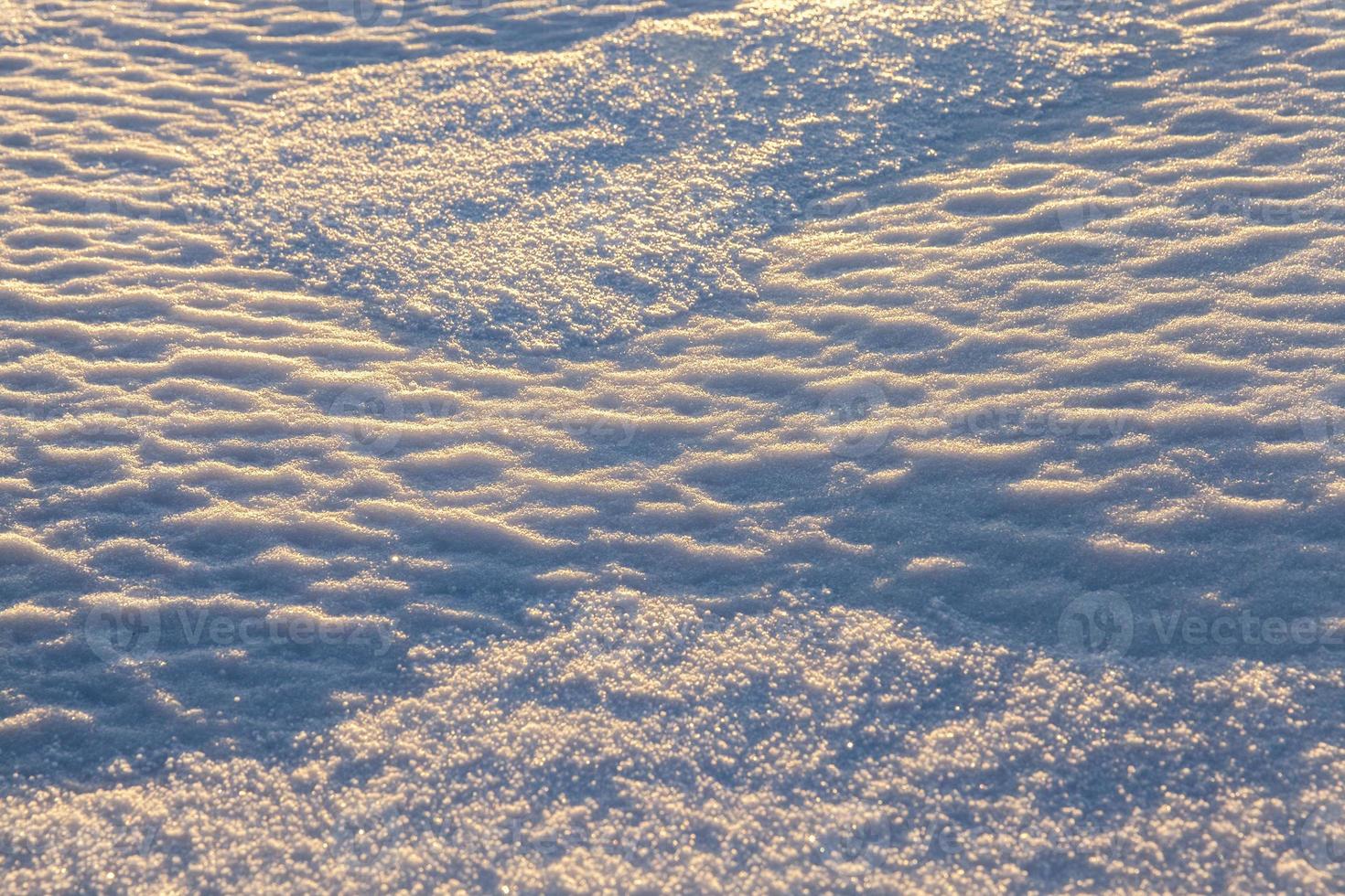snow covered surface photo