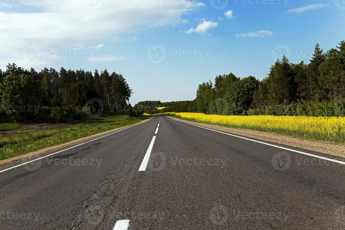 rural road . canola photo