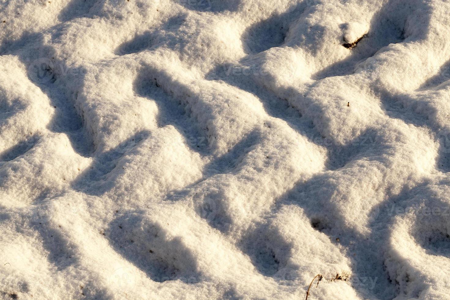 traces of the car on snow photo