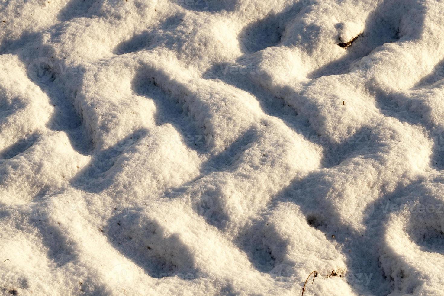 huellas del coche en la nieve foto