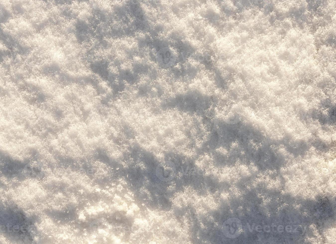 snow covered surface photo