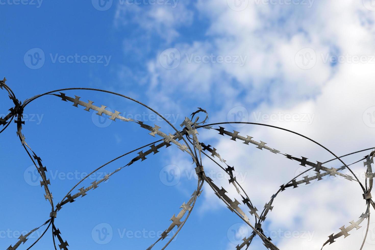 old barbed wire photo