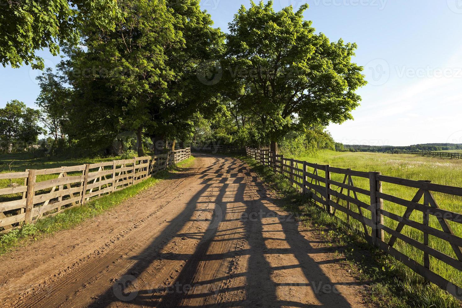 Dirt road in the rural area wooden fence photo