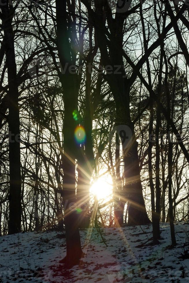 sun sunrise winter photo