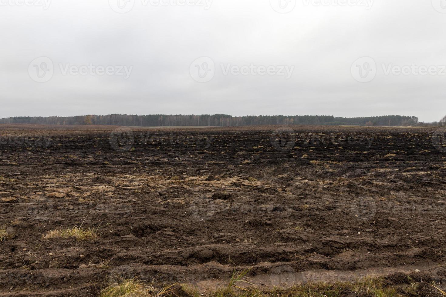 Agricultural landscape, field photo
