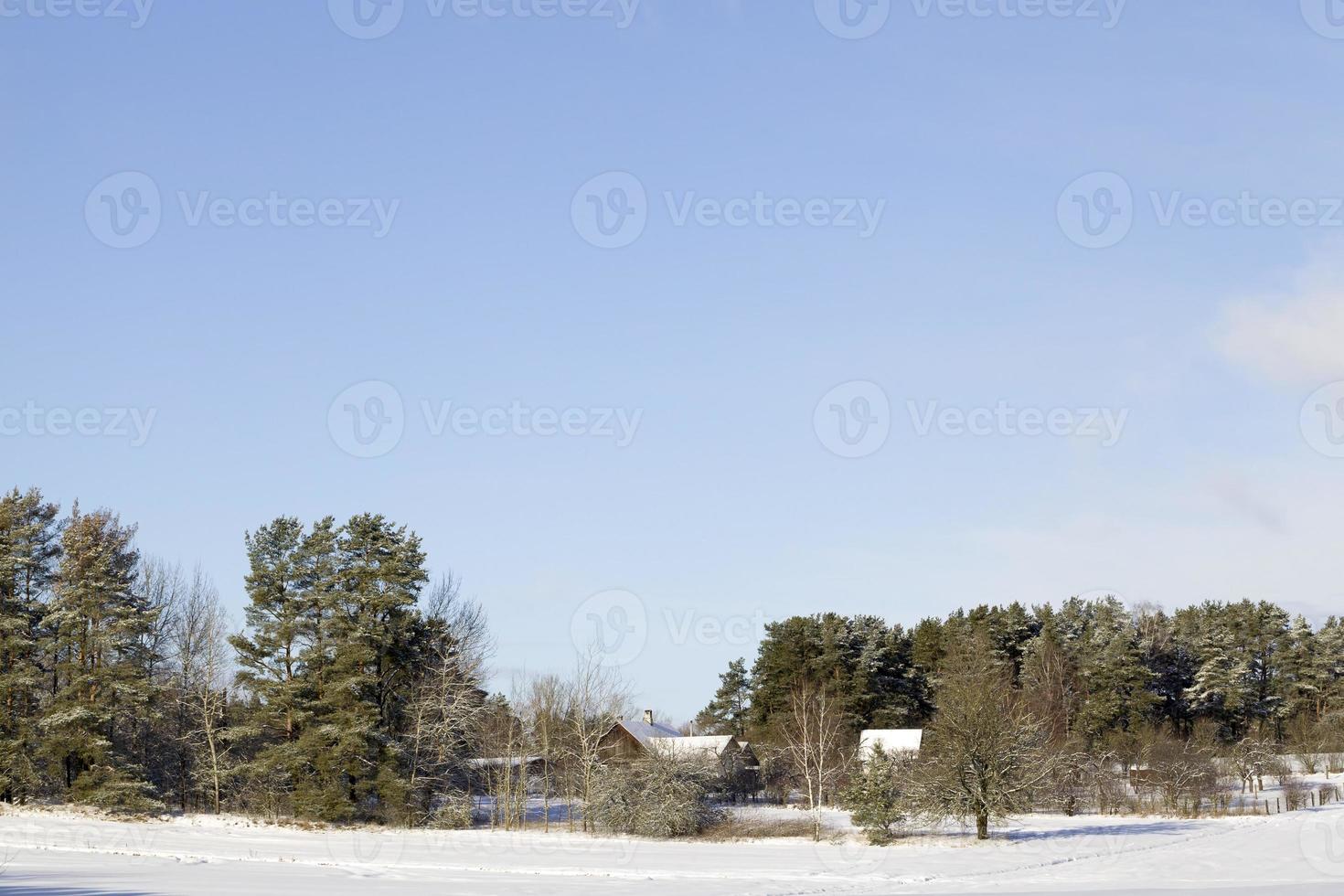 winter landscape , sky photo