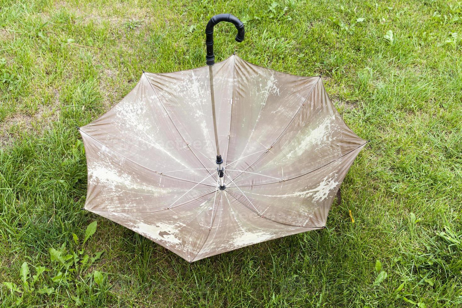 old umbrella, grass photo