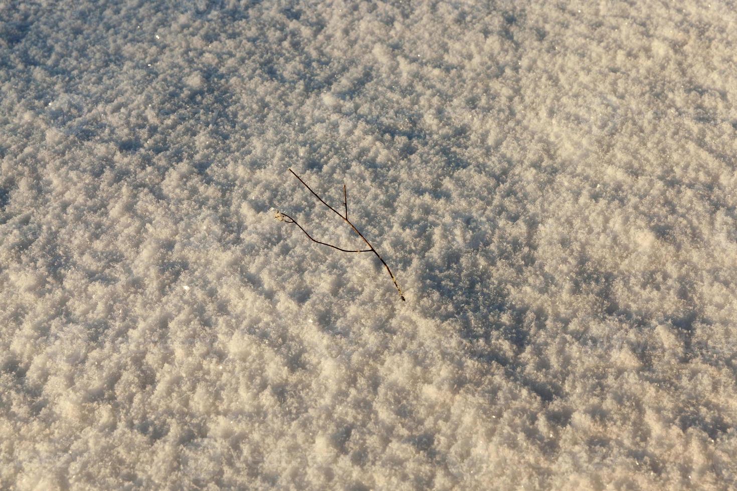 Snow drifts in winter   snow photographed in the winter season, which appeared after a snowfall. close up, photo