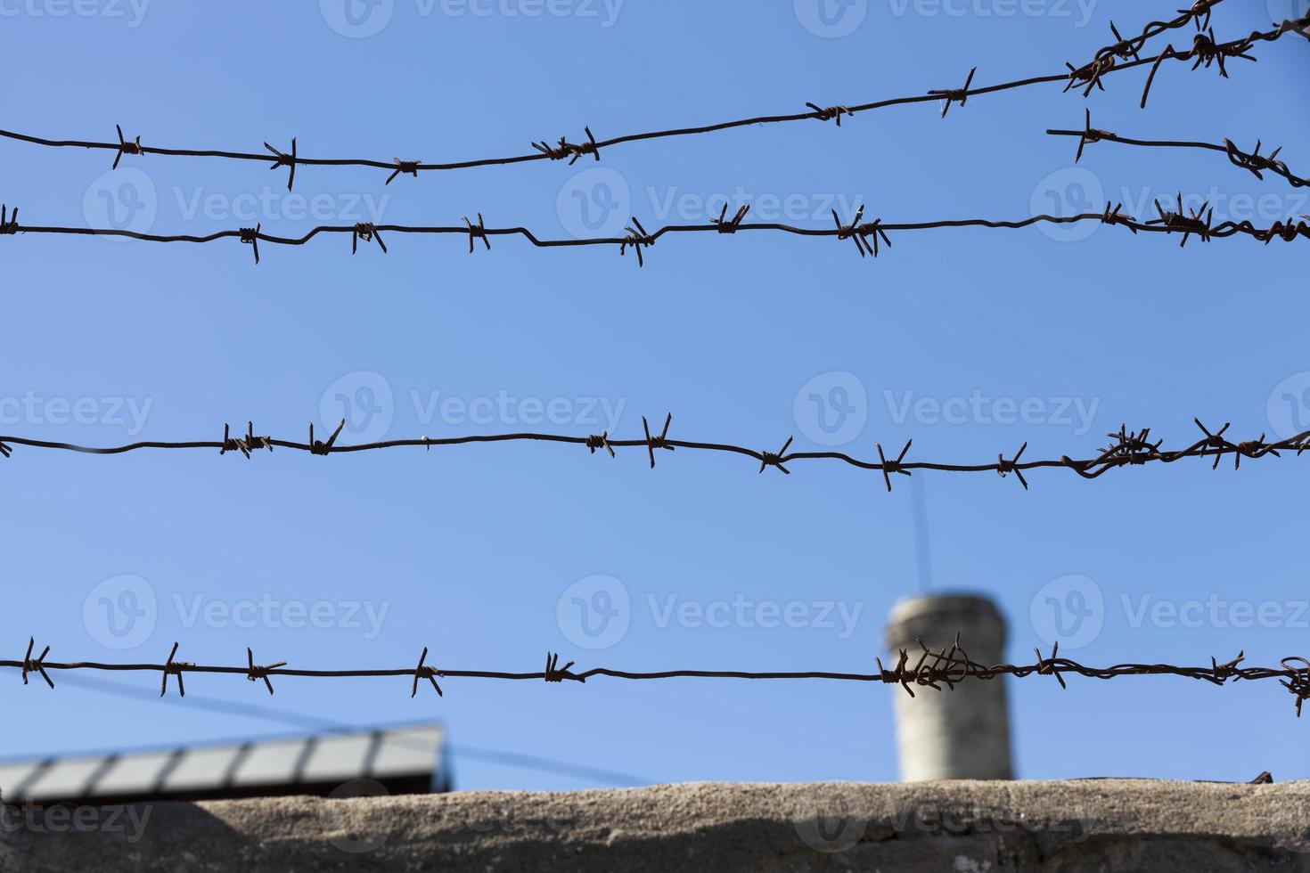 old barbed wire against the blue sky photo