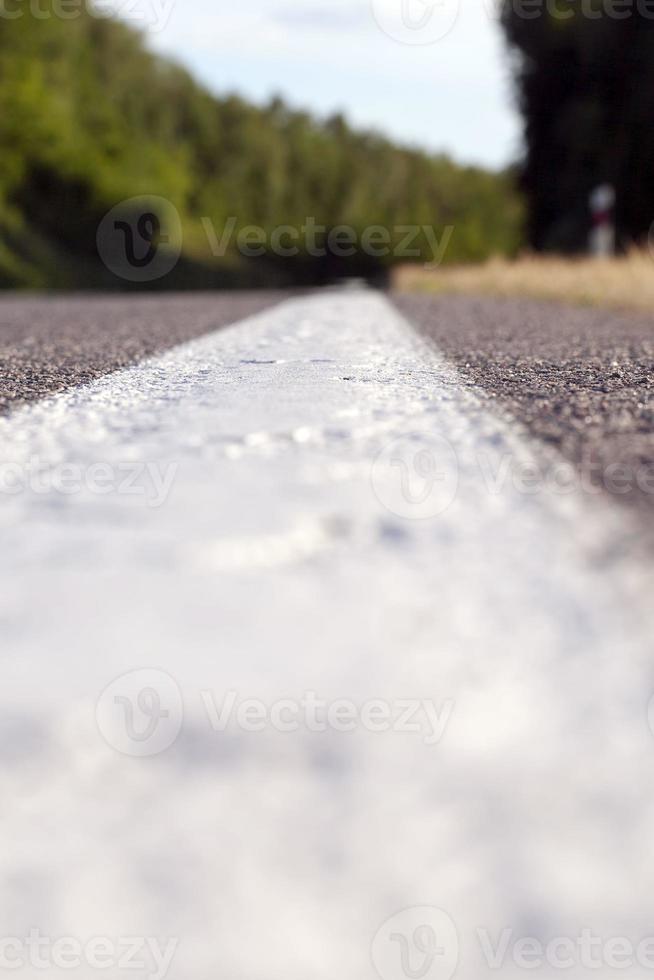 close up of an asphalt road with white road markings photo