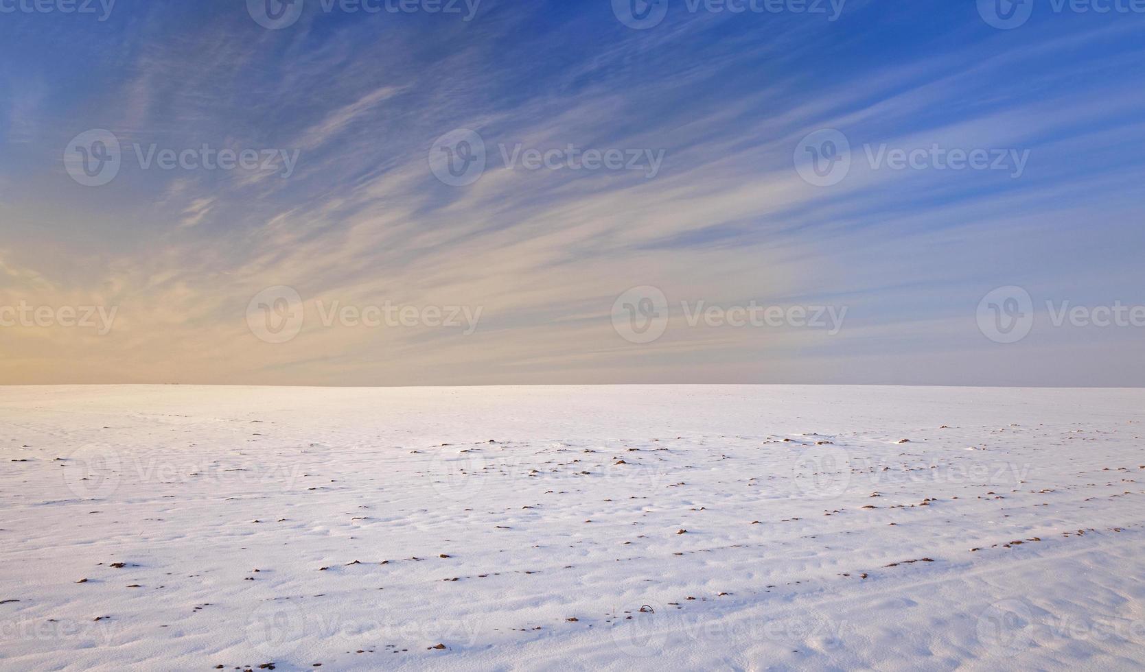 campo cubierto de nieve - el campo agrícola cubierto de nieve. temporada de invierno. bielorrusia foto