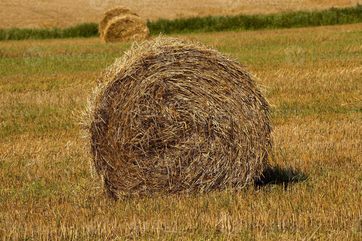 hay bale close-up photo