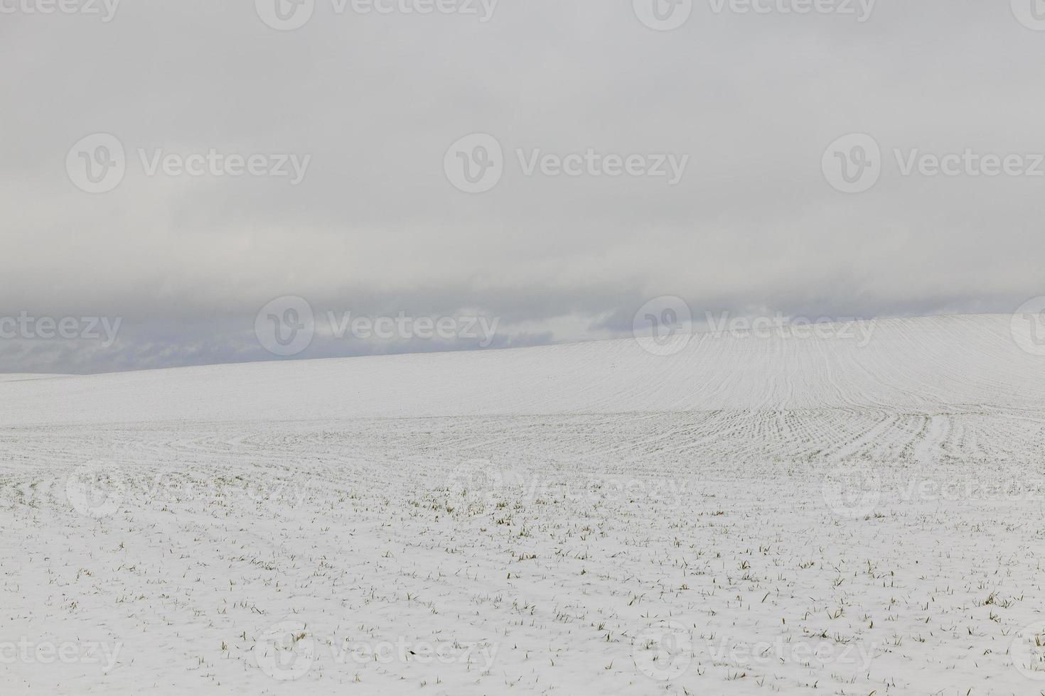 Winter time   snow drifts, which appeared after snowfalls in the winter season. Photo taken close up