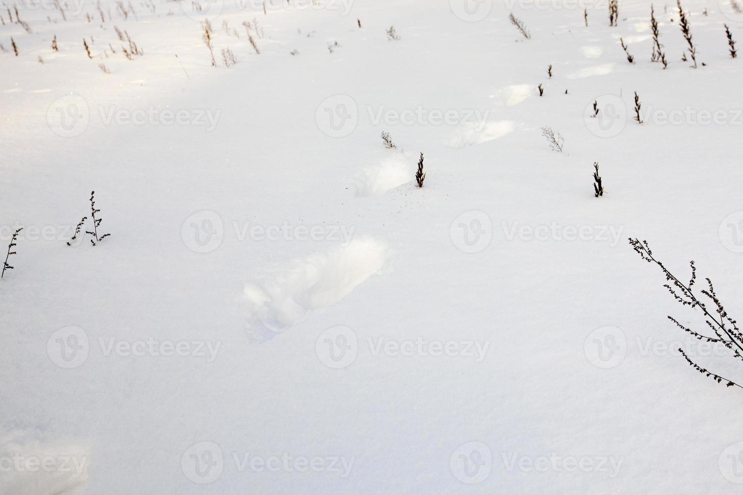 the traces left by the person on snow. winter. close up photo
