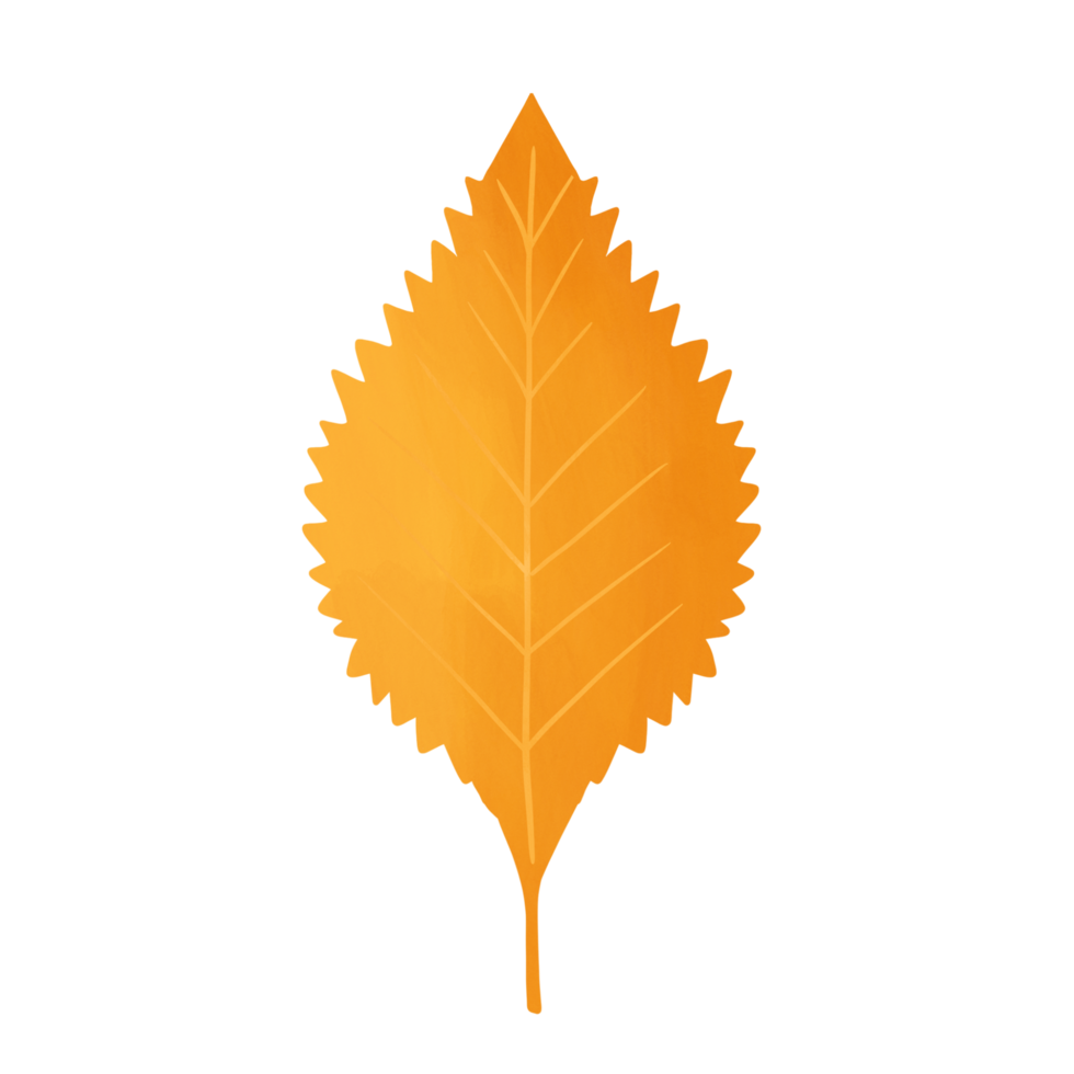 foglia d'autunno isolata. illustrazione. disegnato a mano. png