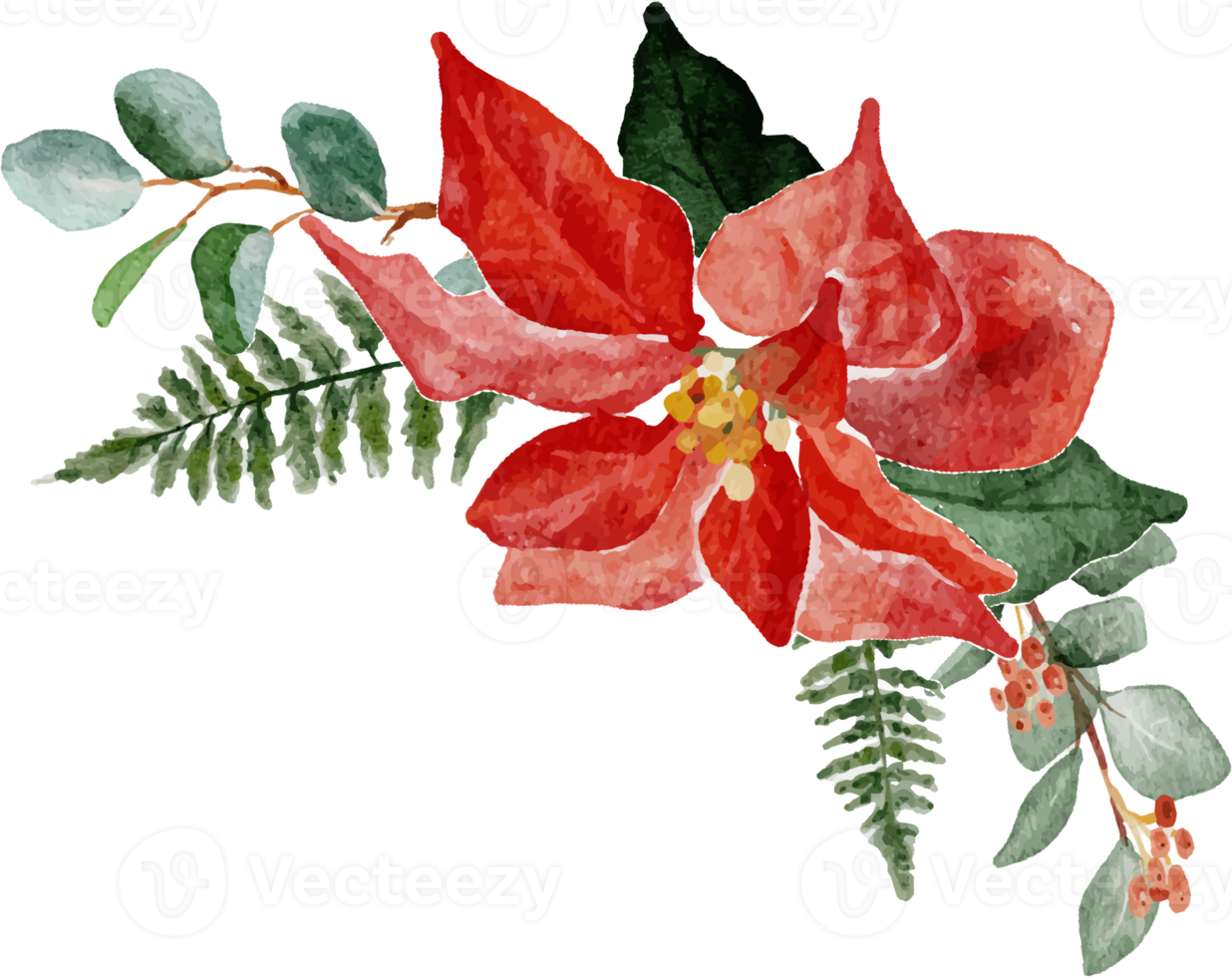 watercolor christmas poinsettia flower bouquet elements png