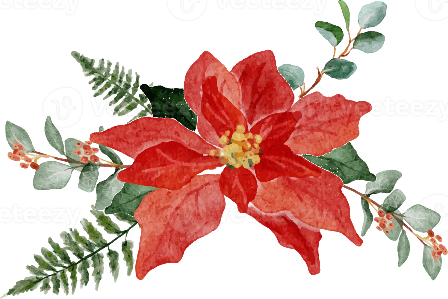 watercolor christmas poinsettia flower bouquet elements png