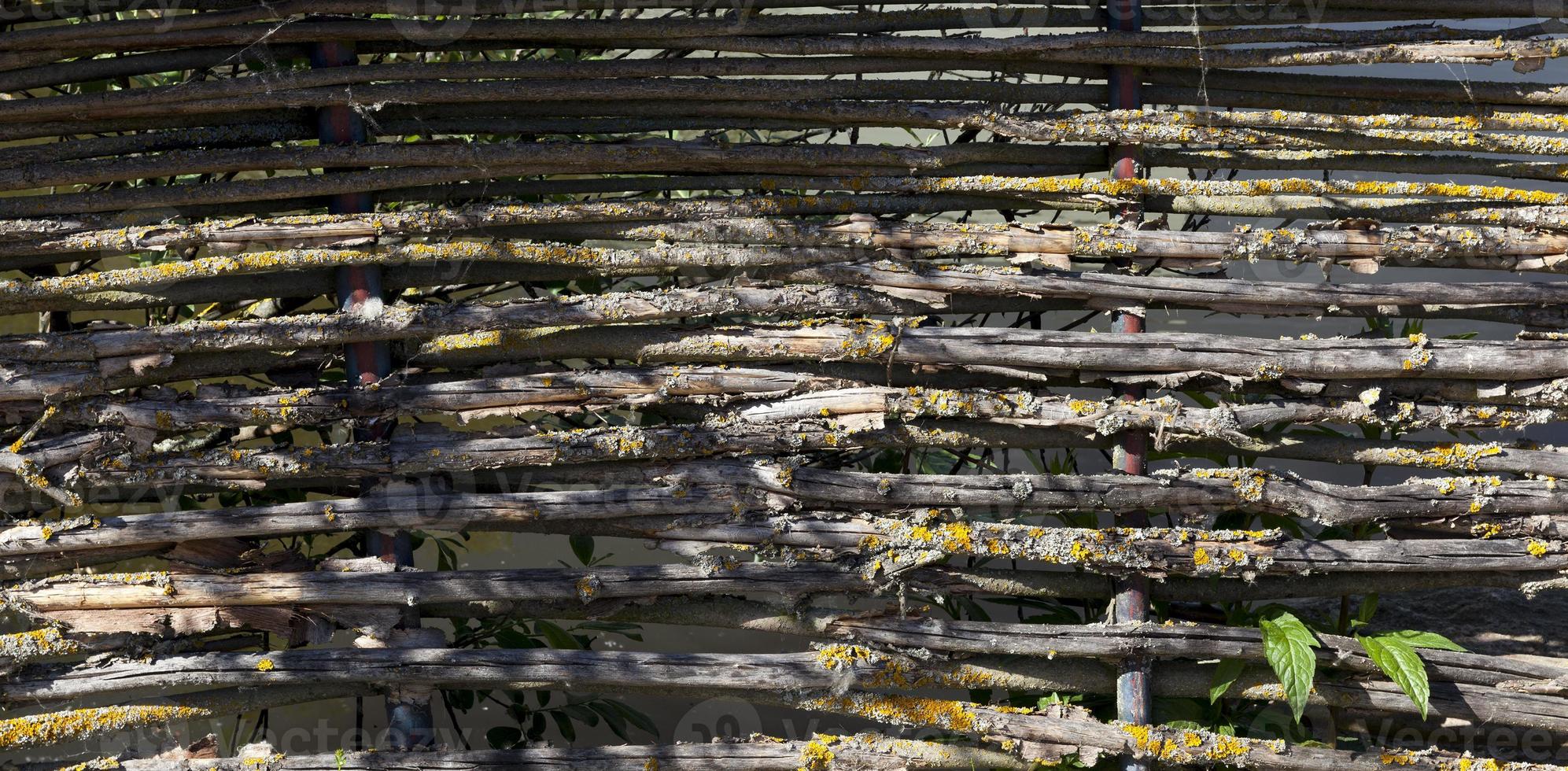 Old fence branches photo