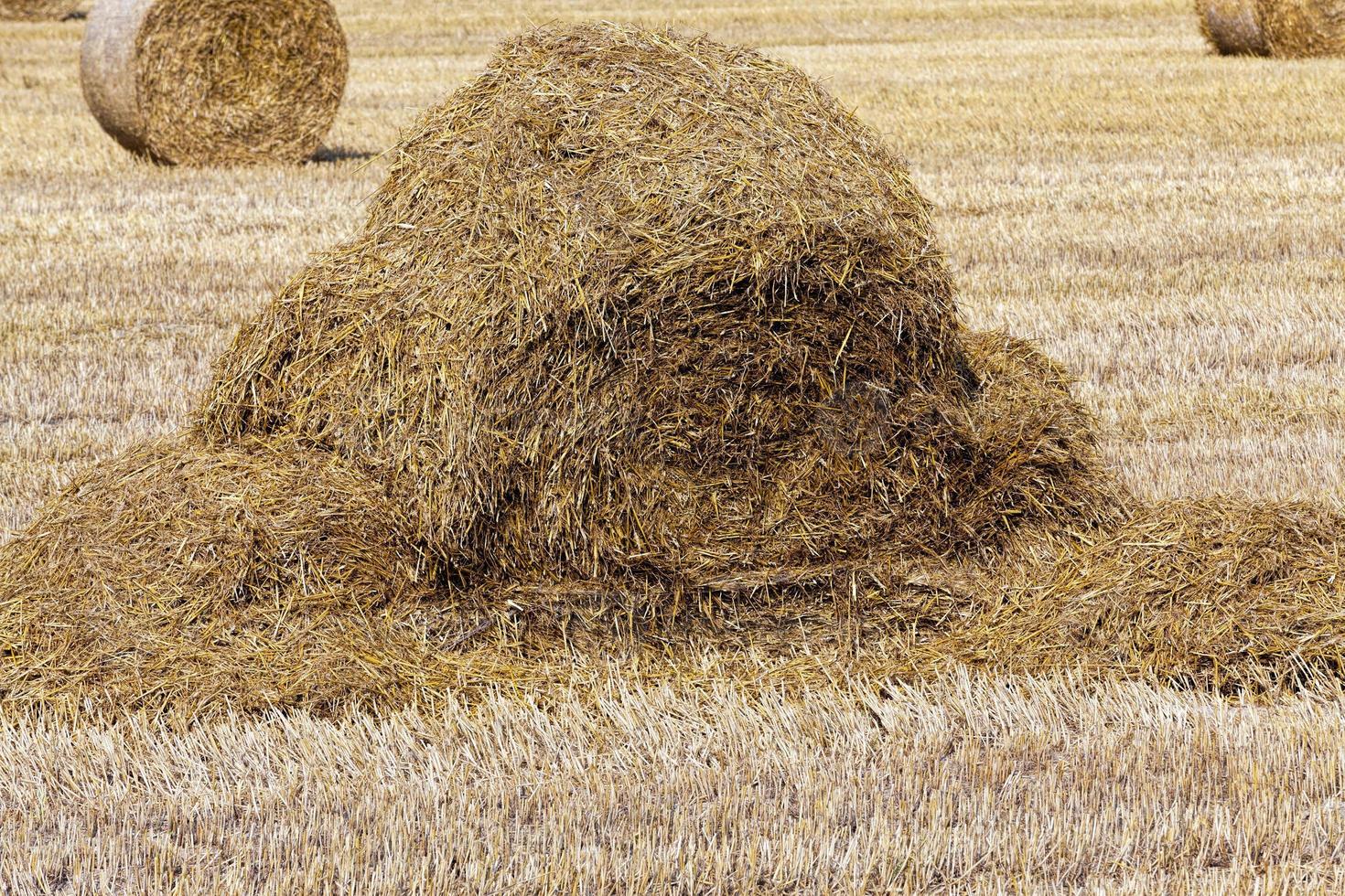 stubble and straw stacks photo