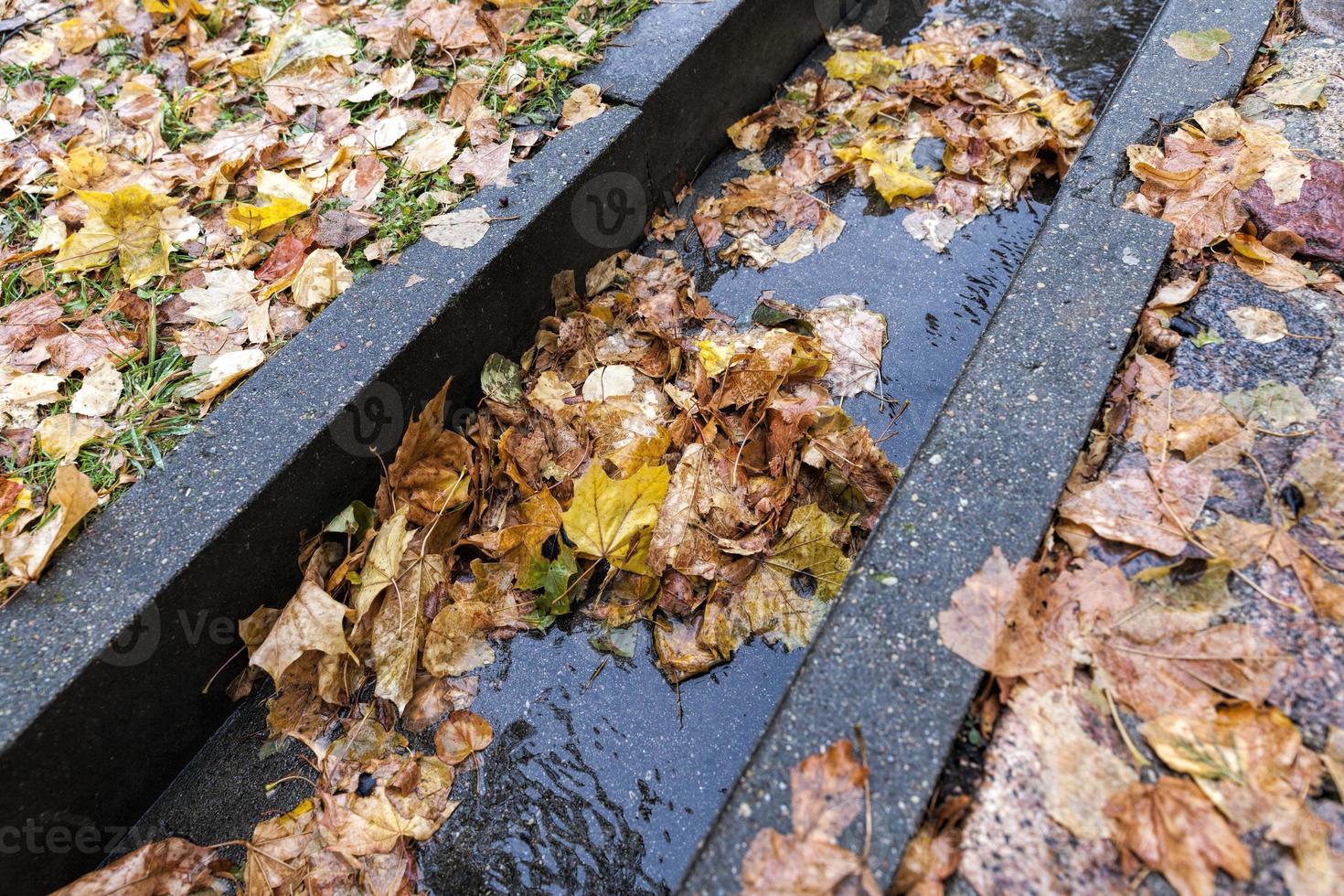 a stormwater drain for a water photo