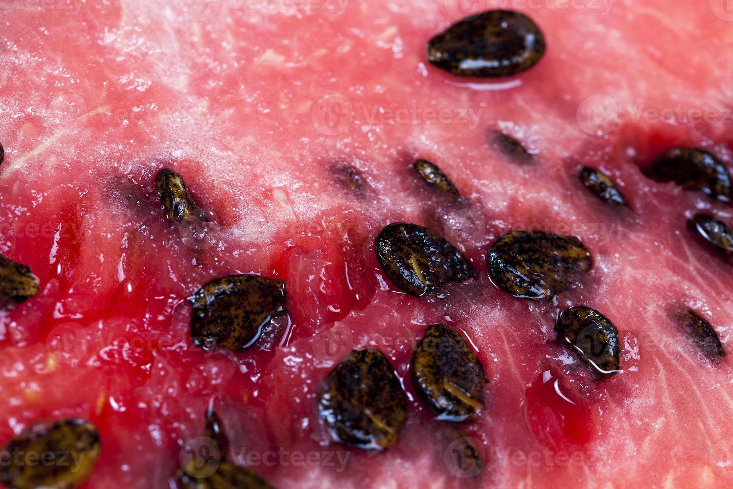 ready to eat chunks of red watermelon photo