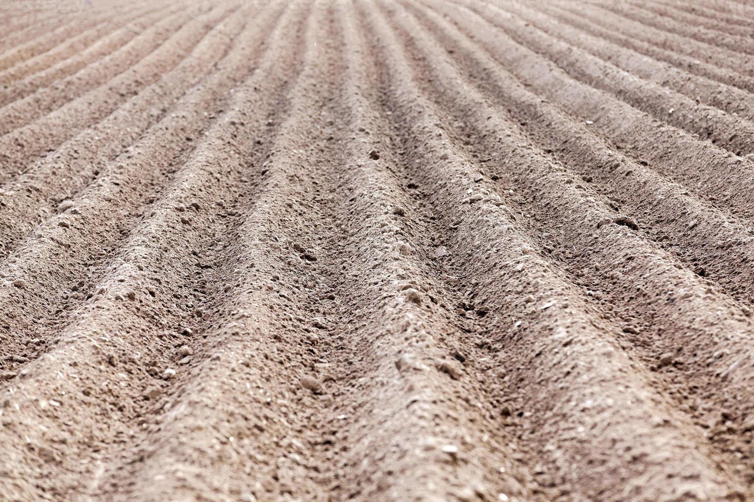 plowed field, furrows photo