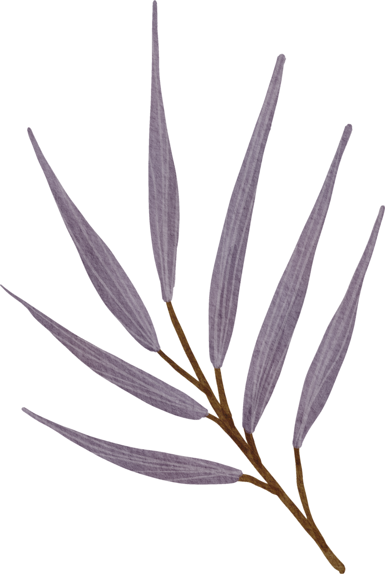 watercolor abstract leaves 9414984 PNG