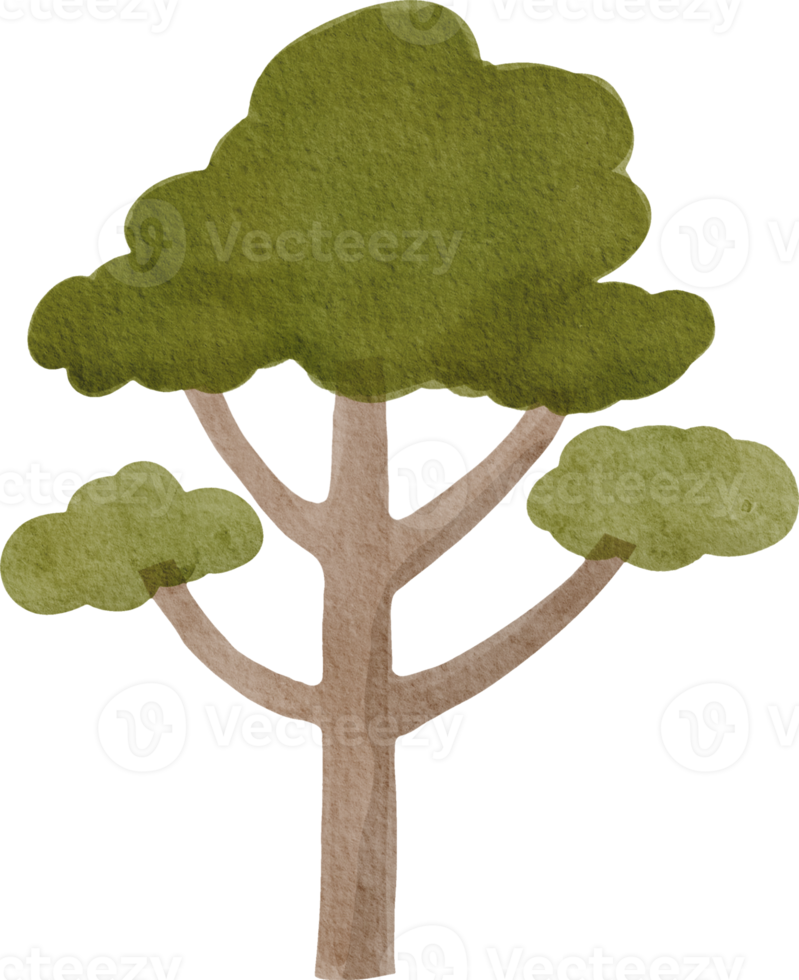 Watercolor cute tree png