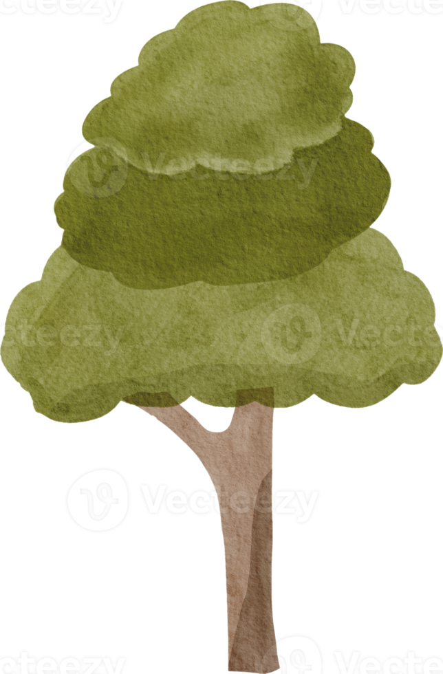 albero carino acquerello png