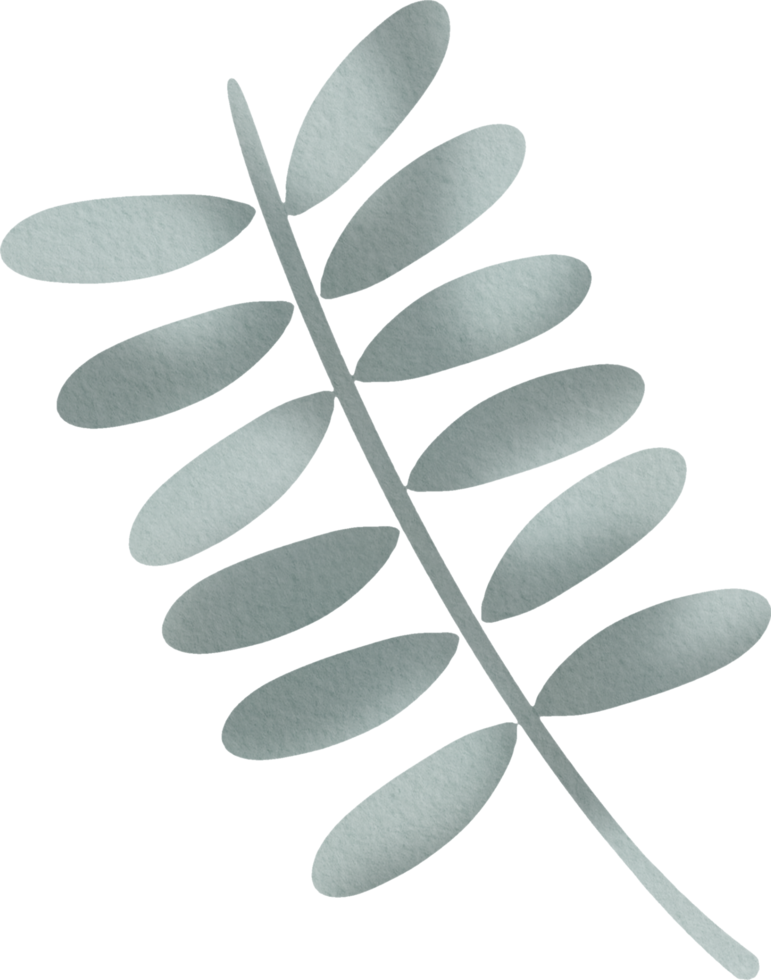 watercolor tree branch png