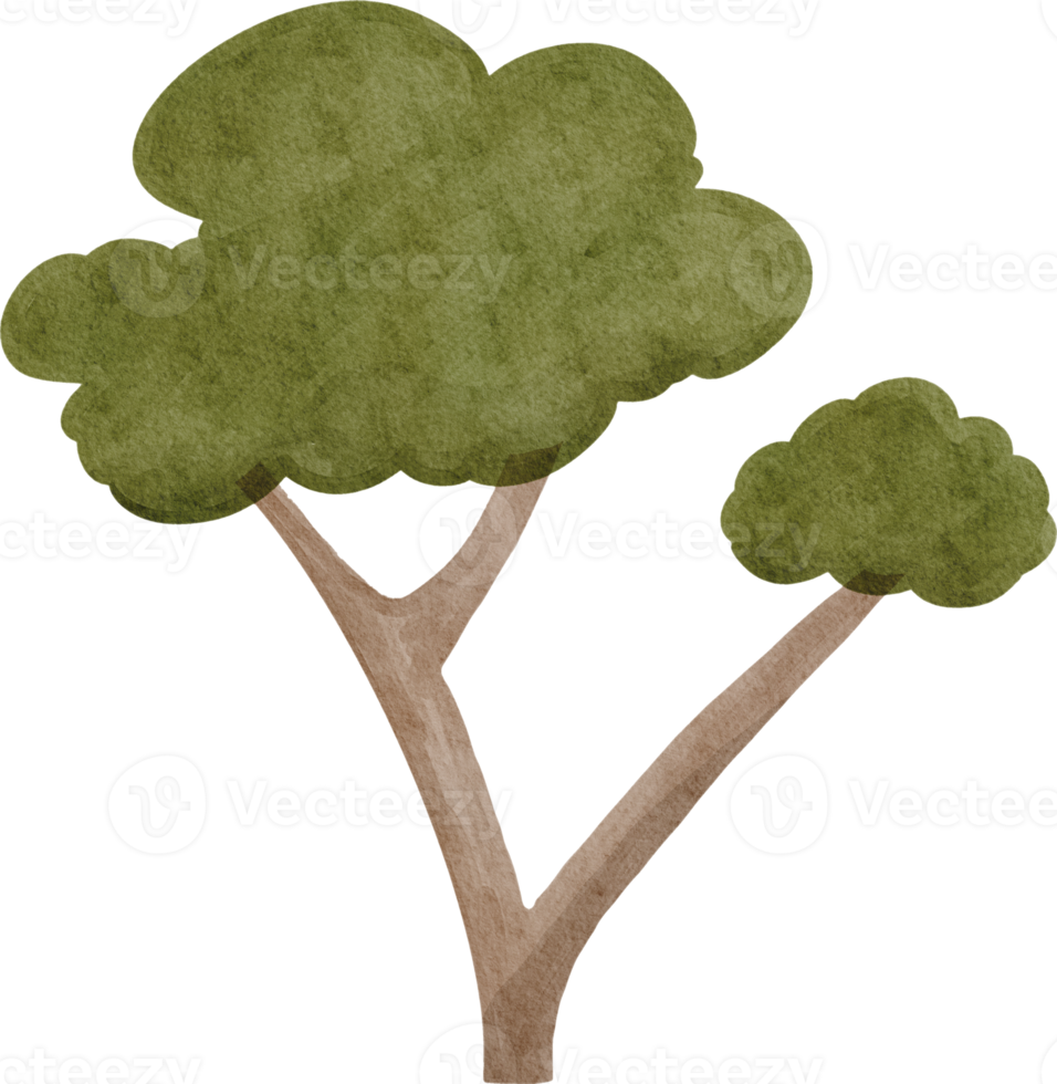 Watercolor cute tree png