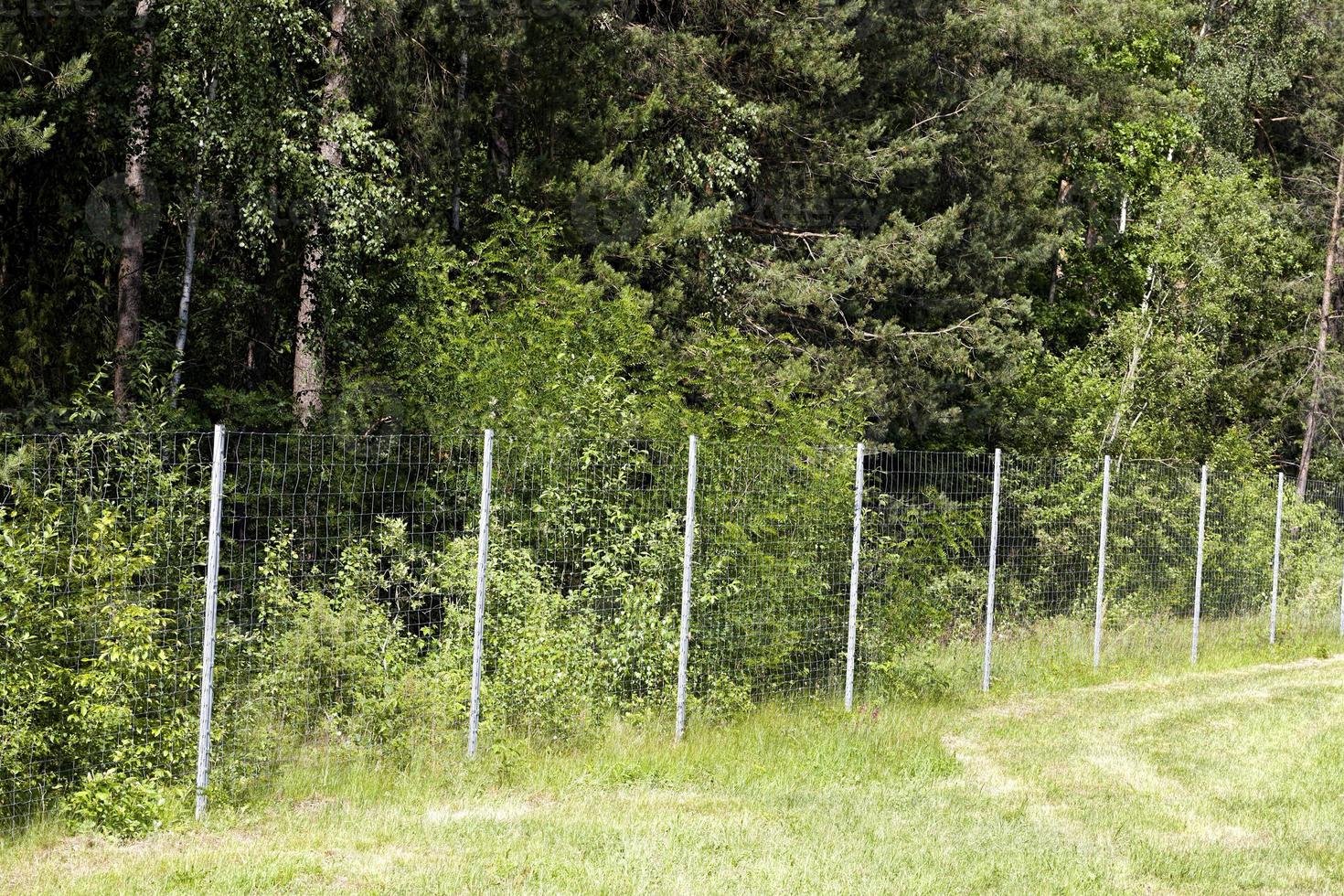 metal fences, close up photo