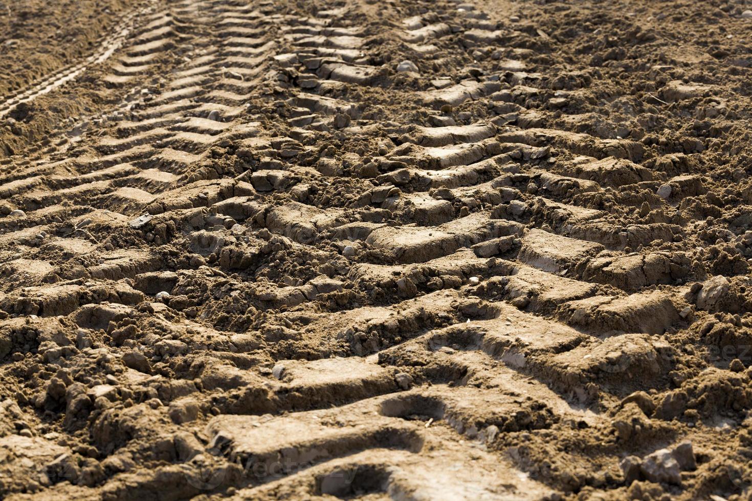 land cultivation, close up photo