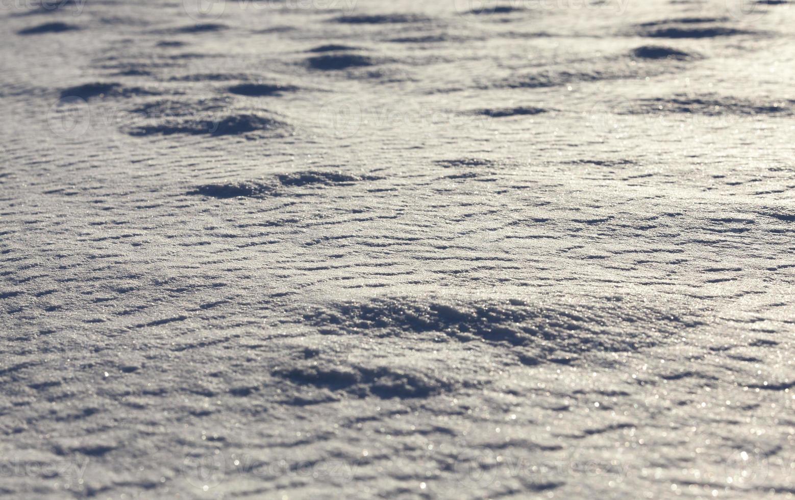 Snow at sunset photo