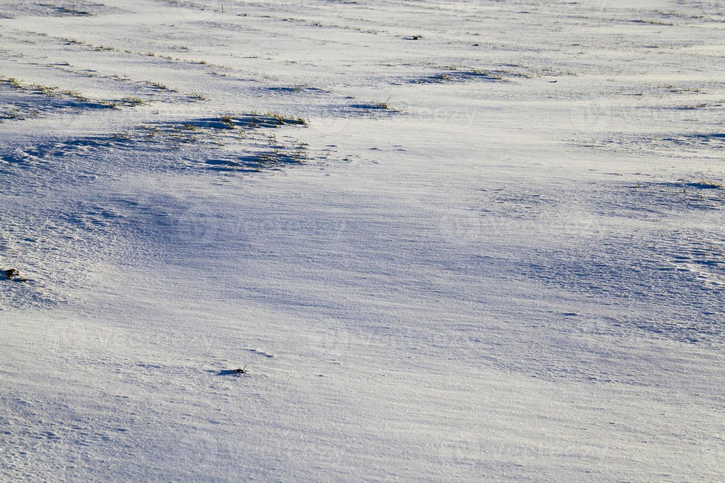 snowdrift, close up photo