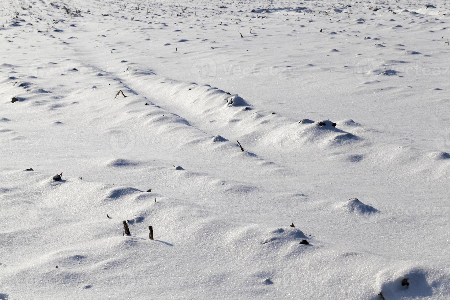 Winter background, close up photo