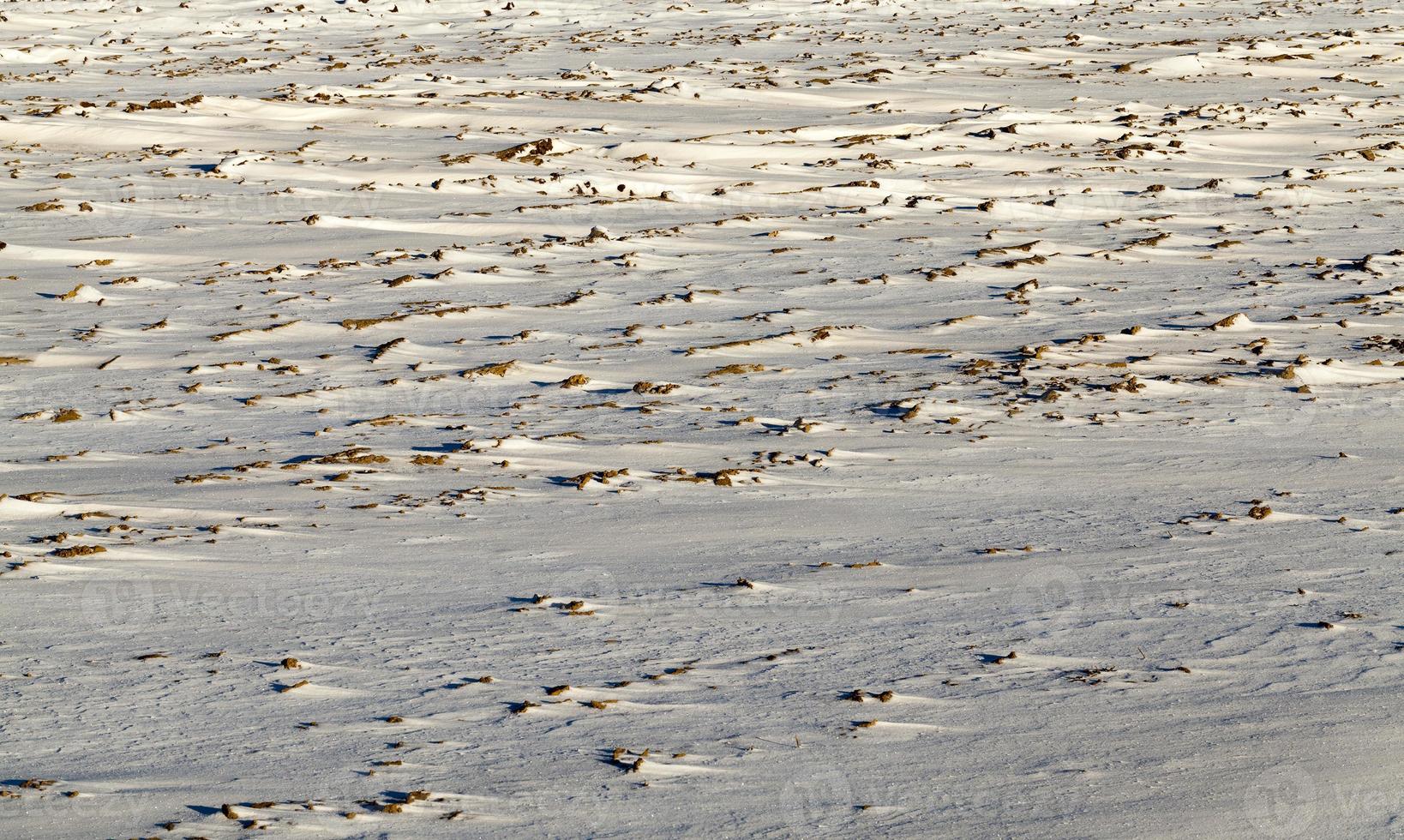 Snow drifts in winter photo