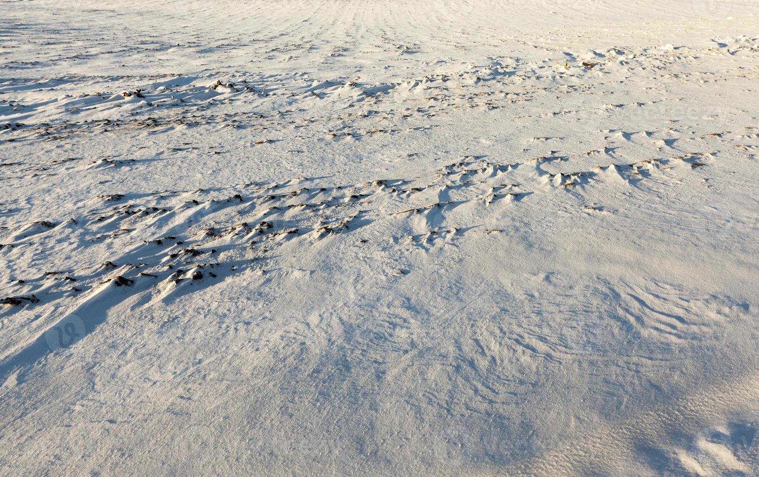 Snow drifts in winter photo