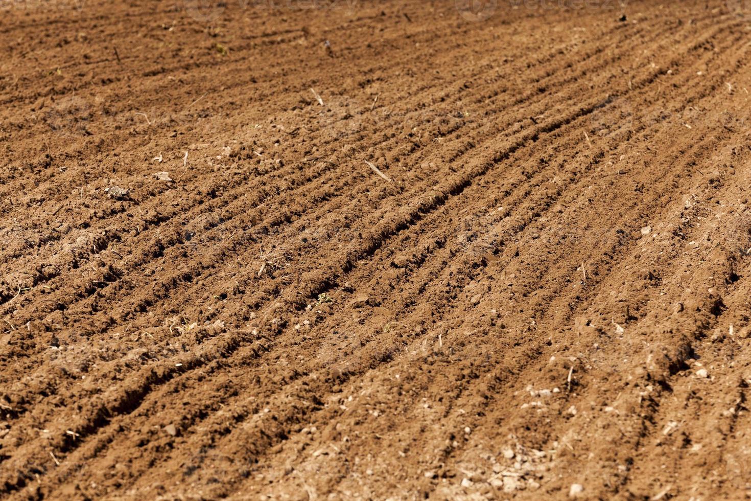 plowed land for cereal photo