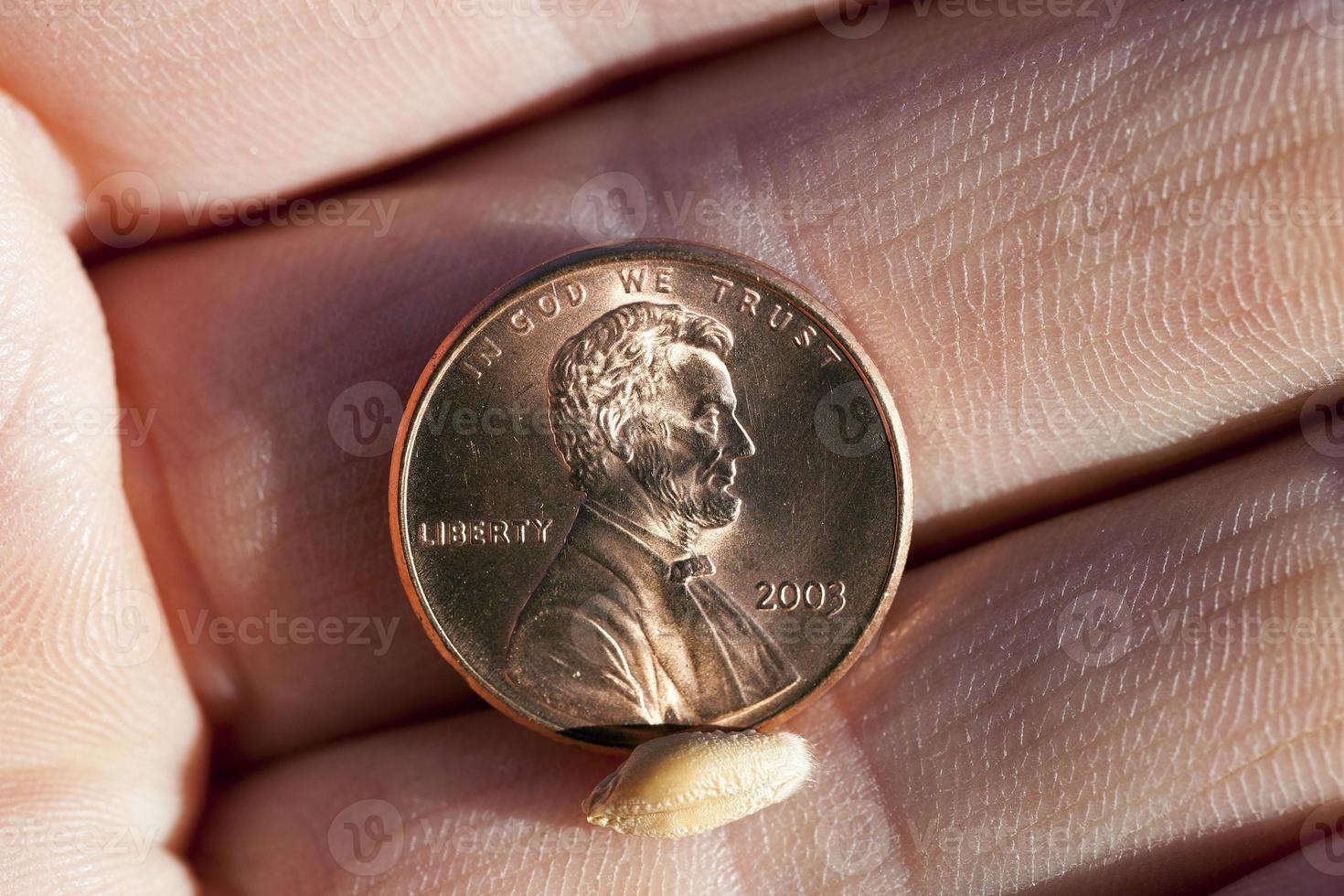 coin in hand photo