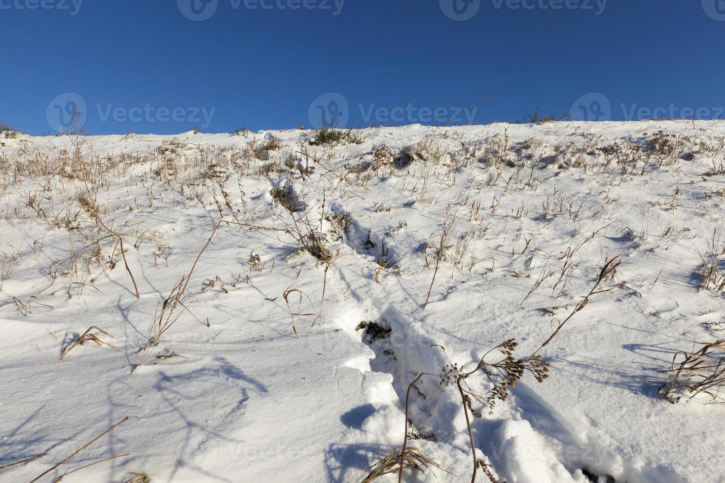 Winter season. Photo