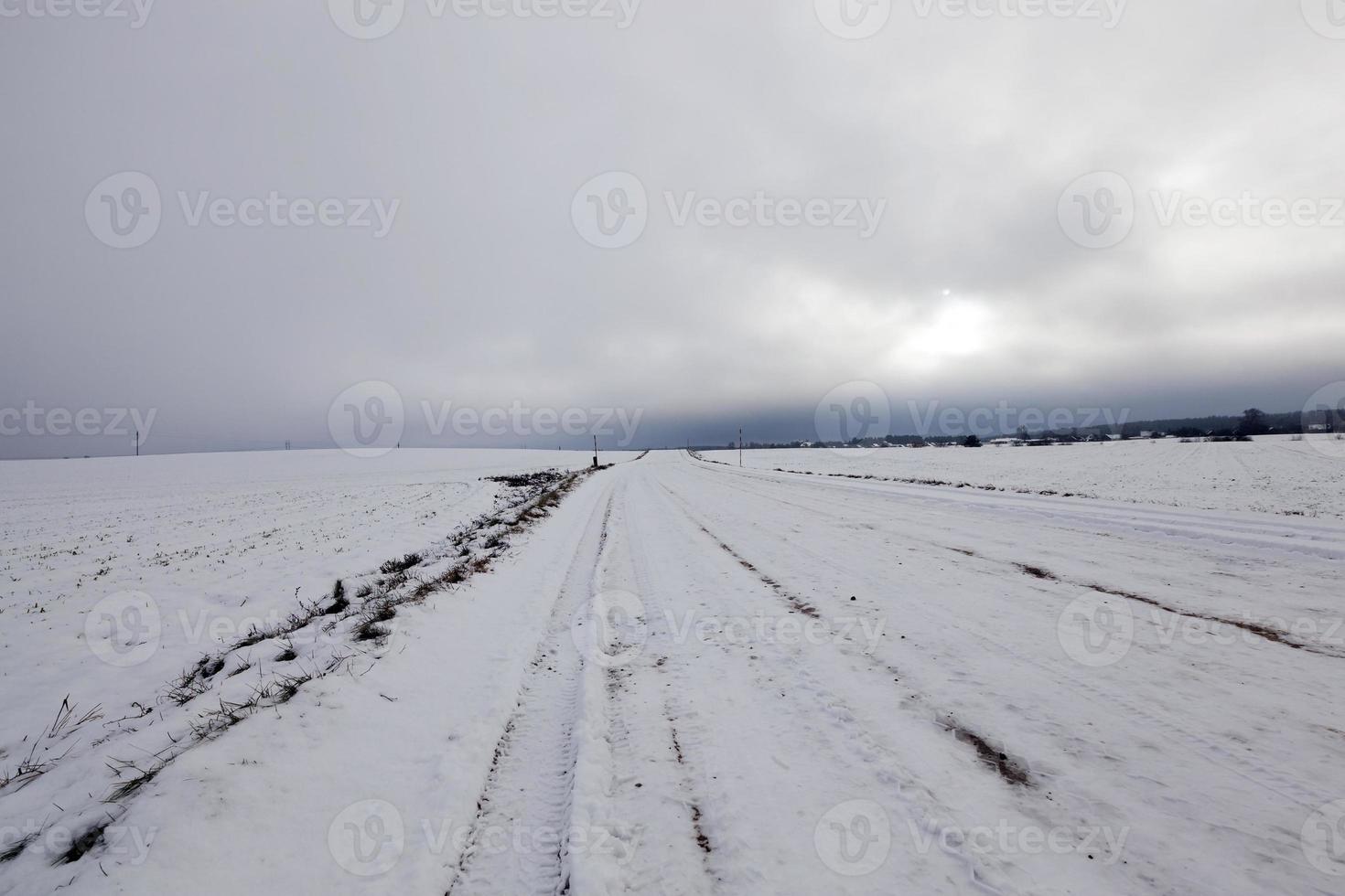 Ruts on the road photo
