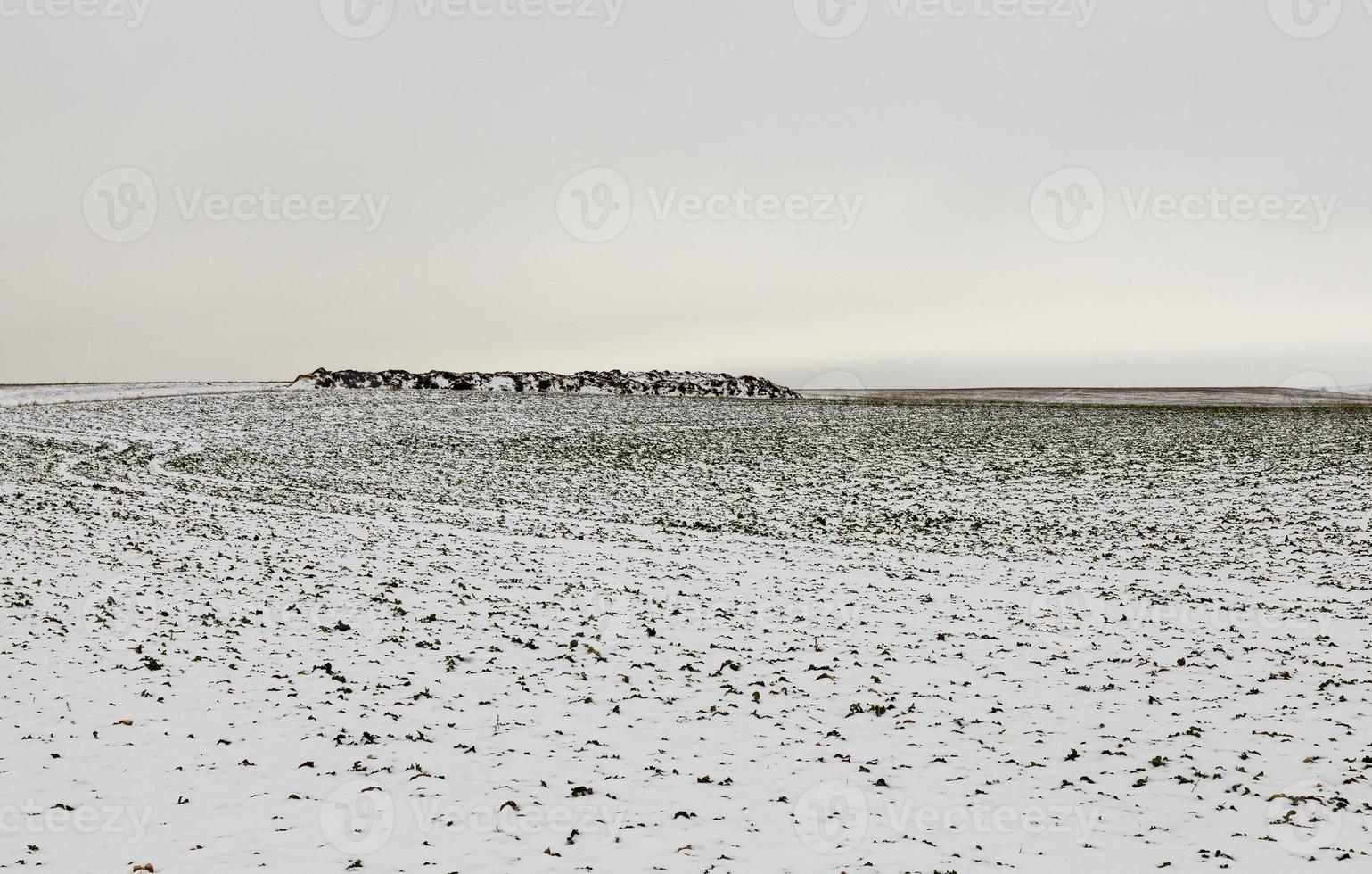 Snow drifts in winter photo