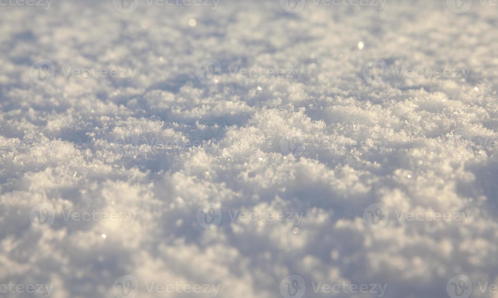After snowfall, close up photo
